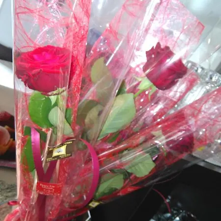 Du Parc Hotel Salies-du-Salat