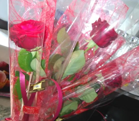 都帕克酒店 酒店 Salies-du-Salat